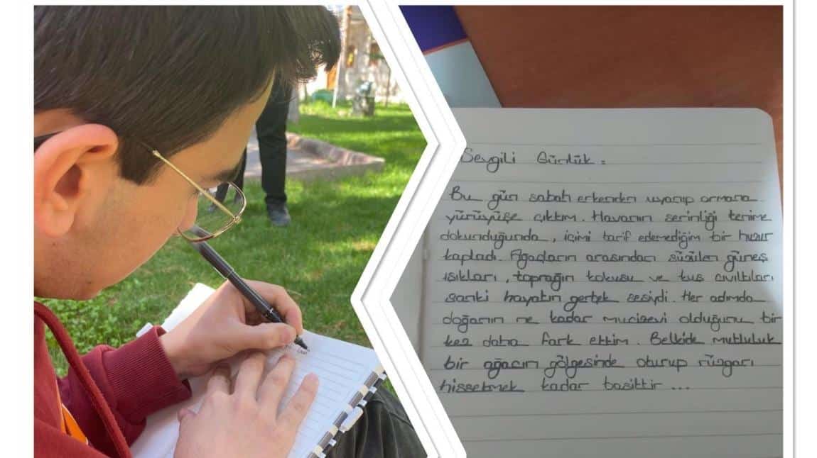 Green Steps Projesi: Dijital Günlük Çalışması ile Çevresel Farkındalık